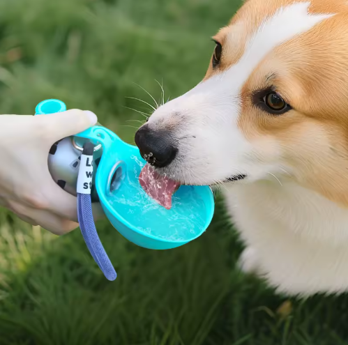 Gourde Sphère Nomade 2-en-1 - Pour chien et chat - En Acier Inoxydable 304 Silicone Alimentaire - 285 mL